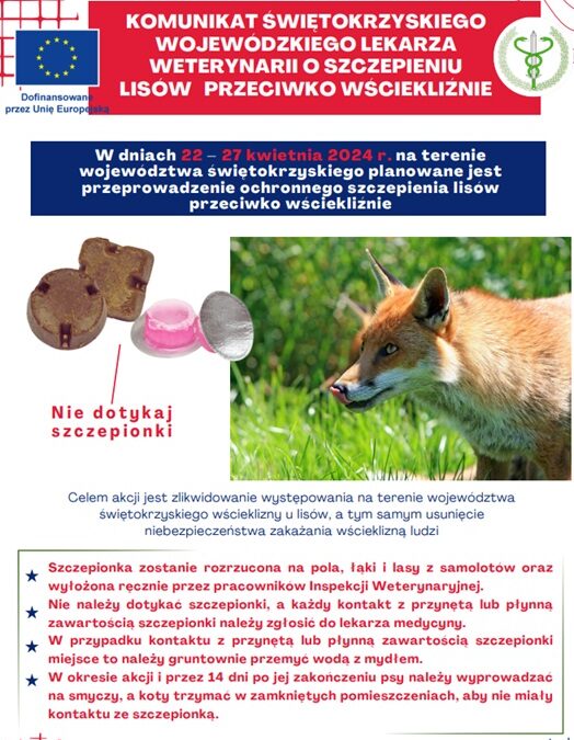 Szczepienie lisów przeciwko wściekliźnie !