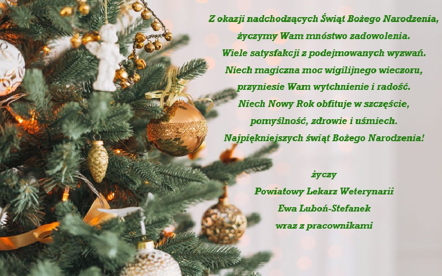 Życzenia świąteczne