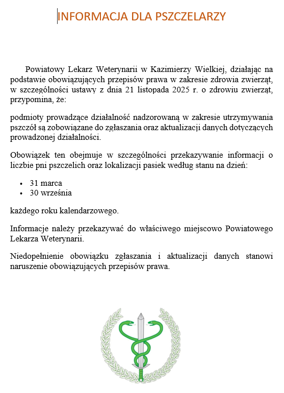 Plakat - IDP