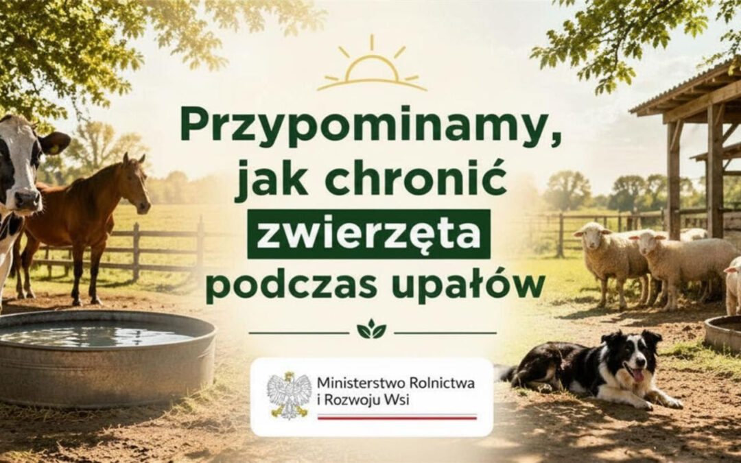„Upały a dobrostan zwierząt – jak chronić zwierzęta przed wysokimi temperaturami